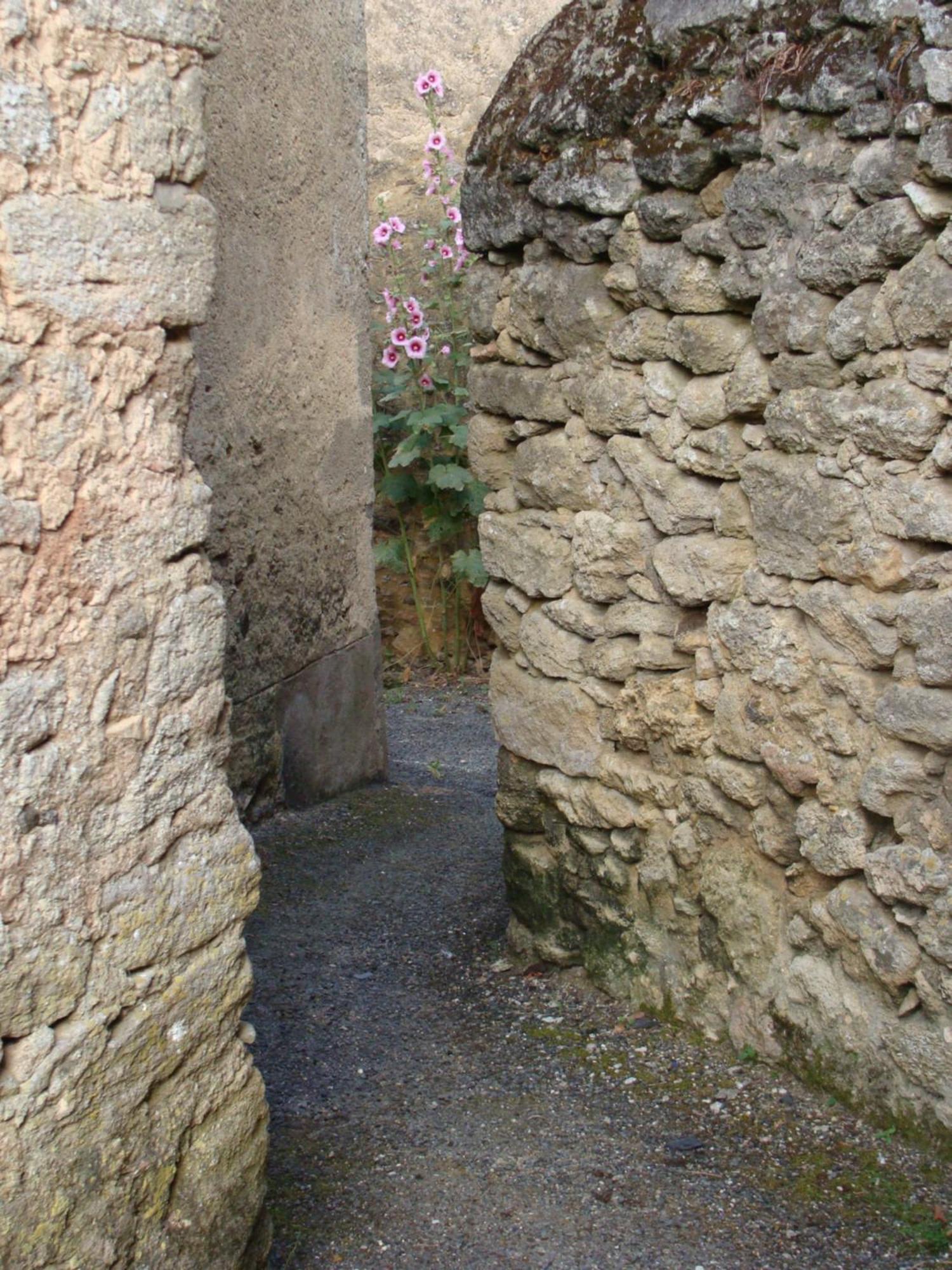 Gite Cote Ruelle Martigné-Briand Exterior foto